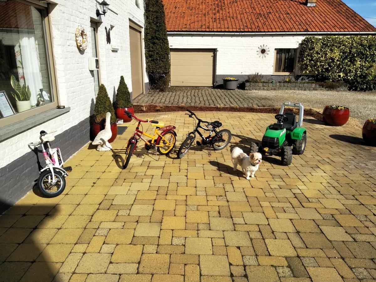 B&B Het Polderhof Jabbeke  Exteriör bild